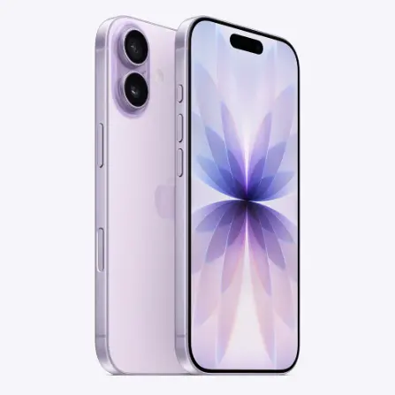 Apple iPhone 17 256GB   