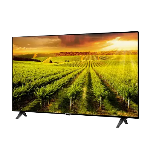 Nasco  LED Flat TV 43" NAS-B43FBFL 
